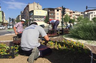 Gemlik’te Kavşak Ve Orta Refüjler Rengârenk