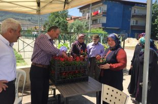 Gemlik Belediyesi’nden yüzlerce çiçek kabirlere dikilecek