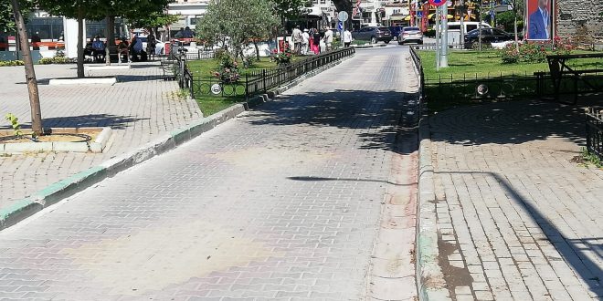 MHP Sorunları Meclise Taşıdı