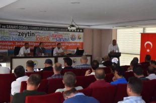 Gemlik Spor Çalıştayı Yapıldı