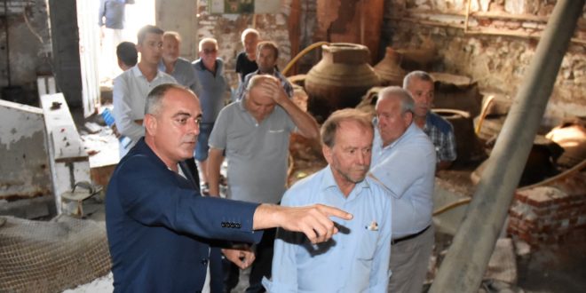 Sertaslan, “Gelecek nesillere zeytinyağı kültürünü aktaracağız”