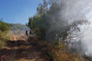 Gemlik'te Orman Yangını, 20 Dönüm Ağaç Kül Oldu