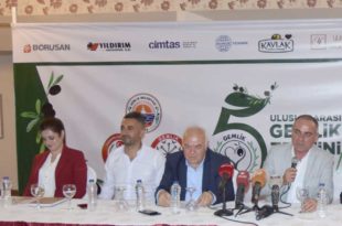 Zeytinin başkenti Gemlik’tir