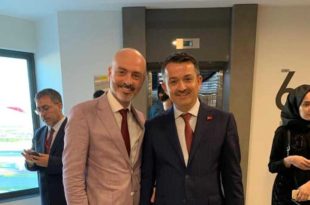 Zeytine Ürün Bazında Tane Desteği Verilecek