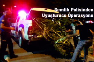 Gemlik Polisinden Uyuşturucu Operasyonu