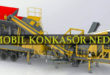 Konkasörler Ne İşe Yarar?