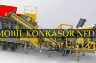 Konkasörler Ne İşe Yarar?