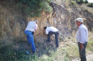  İznik'te büyük deniz keşfine Gemlik'te dahil ediliyor