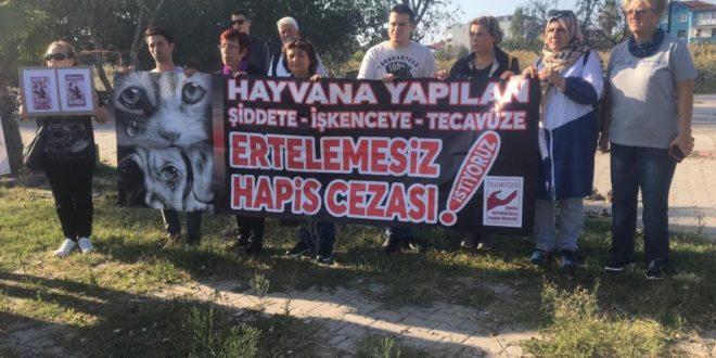 Dört ayağını bağlayıp denize attılar