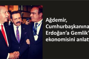 Ağdemir, Cumhurbaşkanına Gemlik’in ekonomisini anlattı