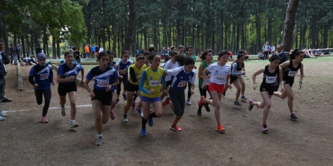 Gemlik Belediyespor Atletizm Türkiye Şampiyonasında 