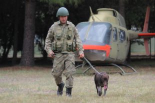 Gemlik'te Sınır ötesi operasyonlara yerli ırk köpek