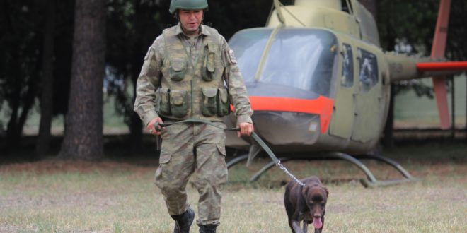 Gemlik'te Sınır ötesi operasyonlara yerli ırk köpek