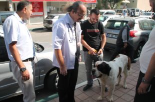 GEMLİK'TE HAYVANLARI KORUMA GÜNÜ MİNİK ÖĞRENCİLERLE KUTLANDI