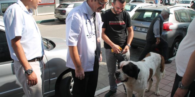 GEMLİK'TE HAYVANLARI KORUMA GÜNÜ MİNİK ÖĞRENCİLERLE KUTLANDI