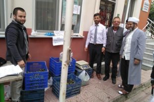 Cami Bahçesindeki Zeytinleri Destek İçin Sattılar