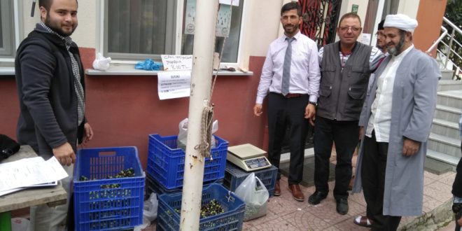 Cami Bahçesindeki Zeytinleri Destek İçin Sattılar