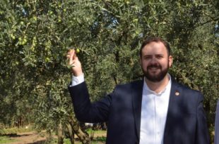      Marmarabirlik Üreticinin Hayallerini Yıkmıştır