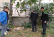 Okul Bahçesinde Köpek Bıçaklandı