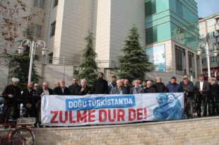Gemlik'te Doğu Türkistan Protestosu