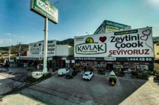 Kavlak Yağlık Zeytini 4.5 TL'ye çıkarttı