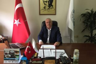 Gemlik Zeytin Kooperatifi Alımları Bitirdi