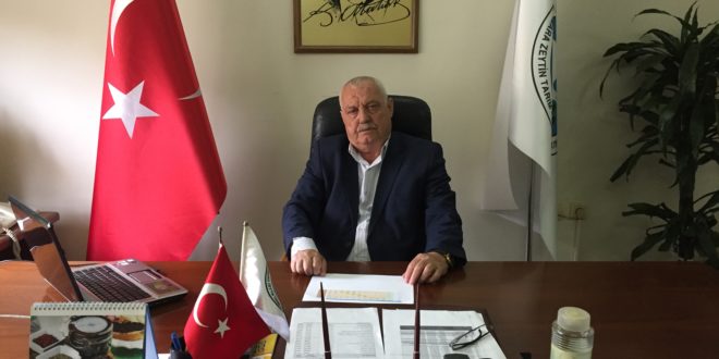 Gemlik Zeytin Kooperatifi Alımları Bitirdi