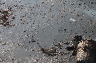 Karsak Deresi Çıkışında Deniz Kirliliği