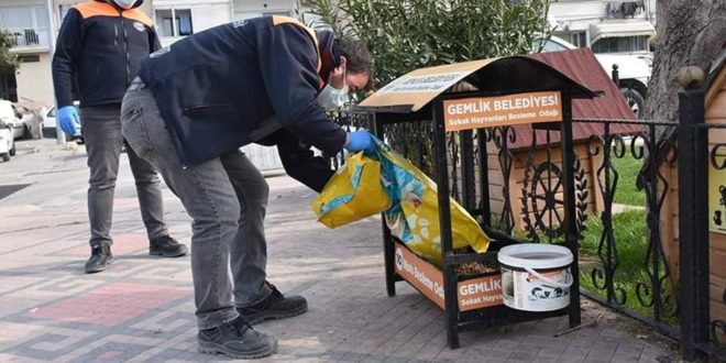Mama kapları uygun alanlara yerleştiriliyor