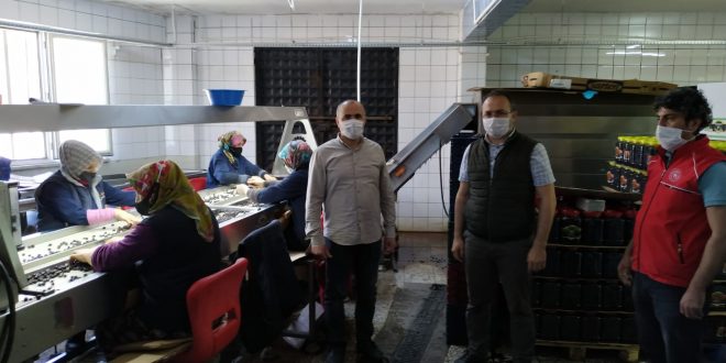 Tarımsal üretim devam ediyor