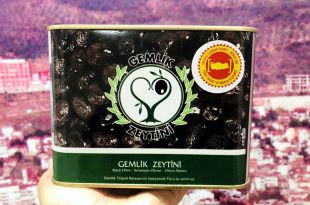 BORSA'DAN GEMLİK ZEYTİNİNE ÖZEL VİDEO