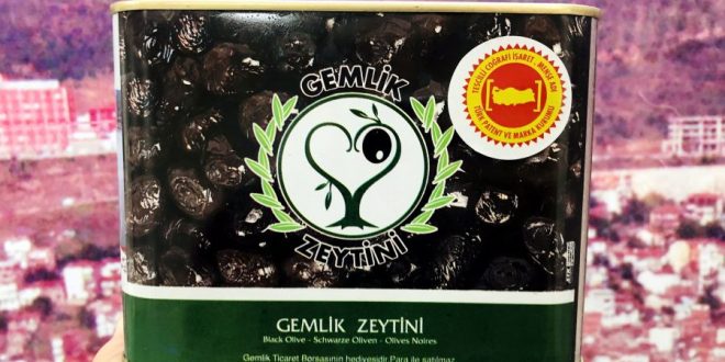 BORSA'DAN GEMLİK ZEYTİNİNE ÖZEL VİDEO