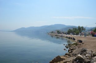 Gemlik ve Bursa  sahillerinde alınan ilk tur numune sonuçları açıklandı