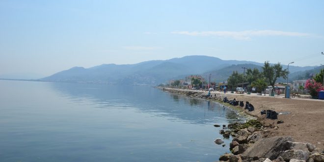 Gemlik ve Bursa  sahillerinde alınan ilk tur numune sonuçları açıklandı