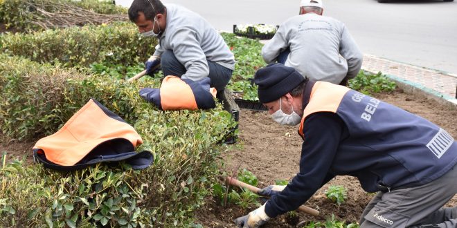 Binlerce mevsimlik çiçek toprakla buluşuyor