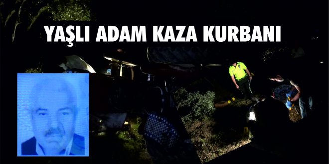 Gemlik'te Yaşlı Adam Traktör Kazasında Hayatını Kaybetti