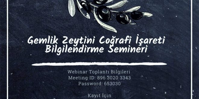 Gemlik Zeytini Coğrafi İşareti Bilgilendirme Semineri Gerçekleşti