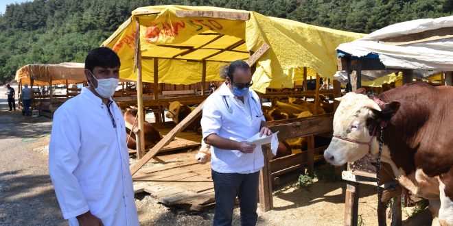 Gemlik'te Kurban Bayramı hazırlıkları tamamlandı