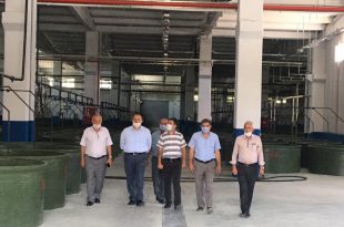 Kaymakam Göç Gemlik Zeytin Kooperatifi’ni ziyaret etti