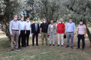 Zeytin sezonu öncesi komisyon toplandı