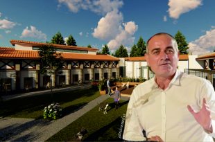 Gemlik'te Sokak hayvanları için dev proje