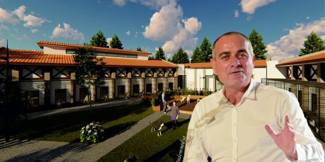 Gemlik'te Sokak hayvanları için dev proje