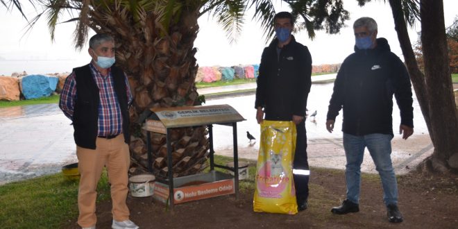 Gemlik’te sokaktaki canlar aç kalmıyor