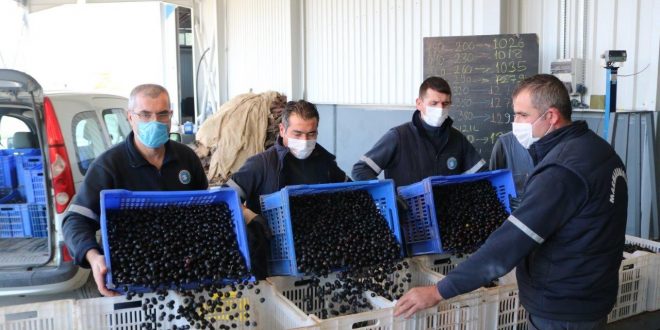 Marmarabirlik’ten üreticiye ödeme