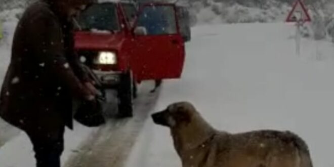  Gemlik Offroad grubu hayvanları besledi