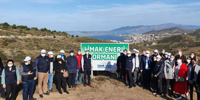Limak Enerji’nin Yeşil Dönüşüm Ormanları Projesi Balıkesir’de Devam Ediyor