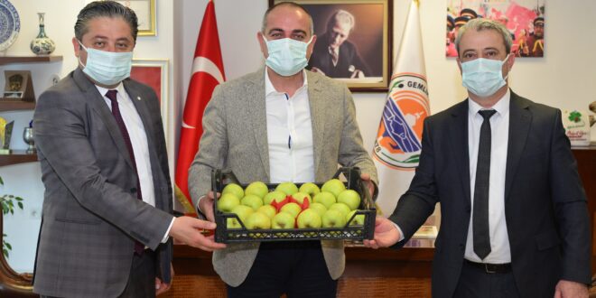 Bayramiç’in elmasının da, Gemlik’in zeytinin de derdi aynı