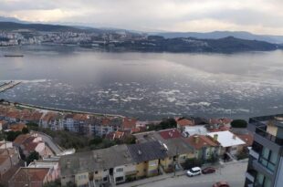 Beyaza bürünen Gemlik Körfezi korkuttu