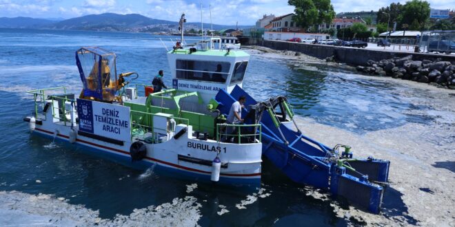 Bursa sahillerinde salya operasyonu