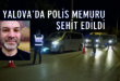 Yalova'da Uygulama noktasından kaçarken polisi şehit ettiler